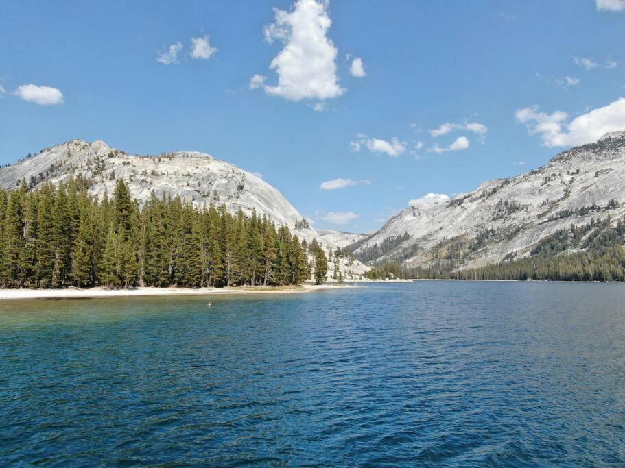 Yosemite Dreamin' Villa Oakhurst Exterior photo